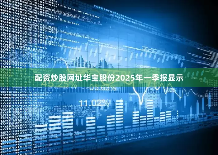 配资炒股网址华宝股份2025年一季报显示